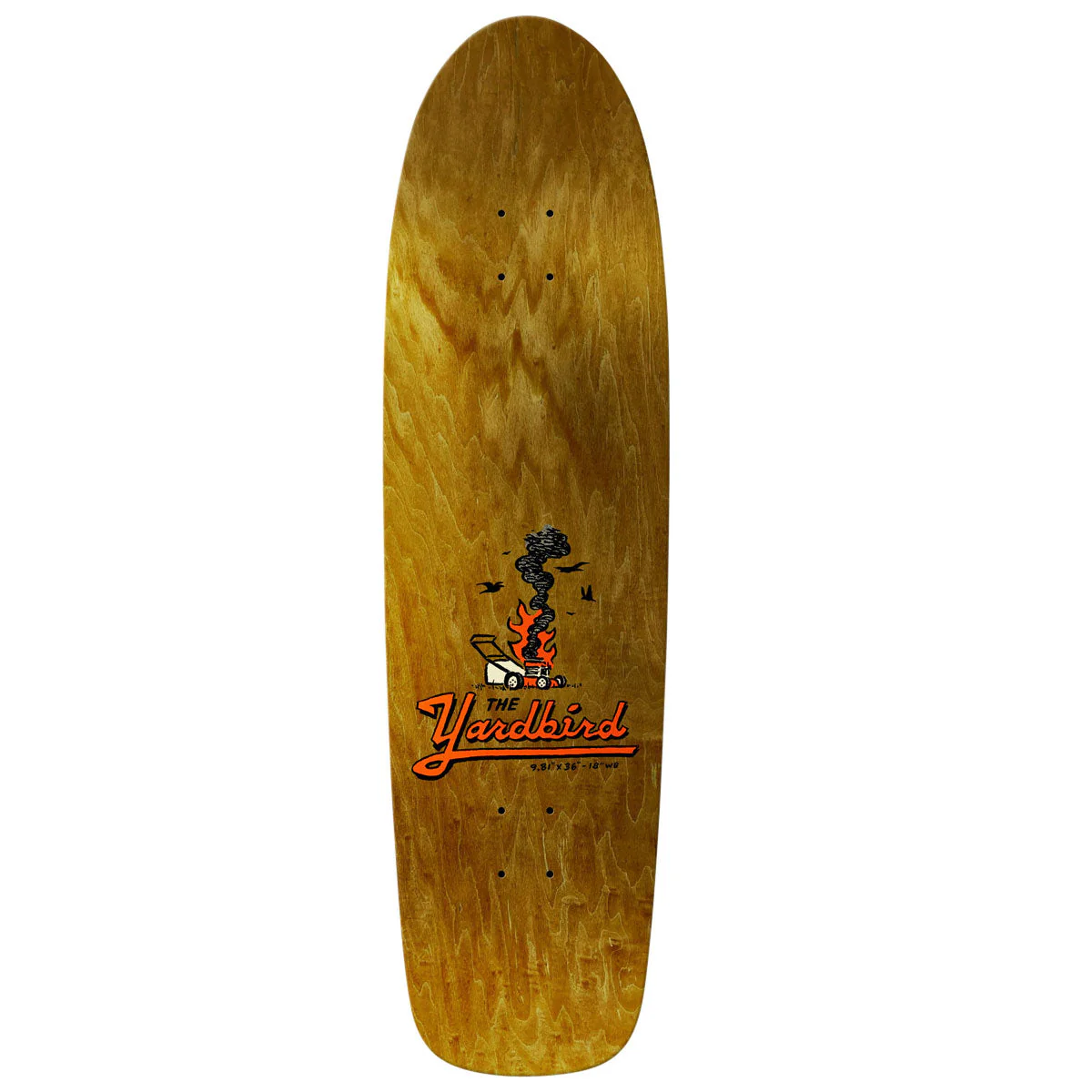 Anti-Hero Team Jalopi Yardbird Skateboard Deck - Teal - 9.81" - Image 2