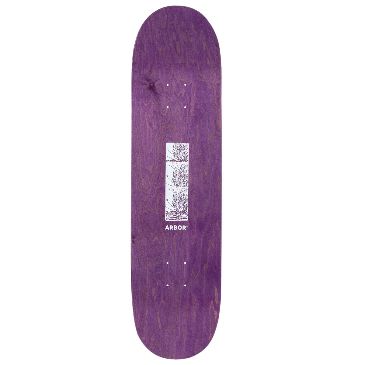 Arbor Ace Pelka Anatomy Skateboard Complete - 8.50" - Image 2