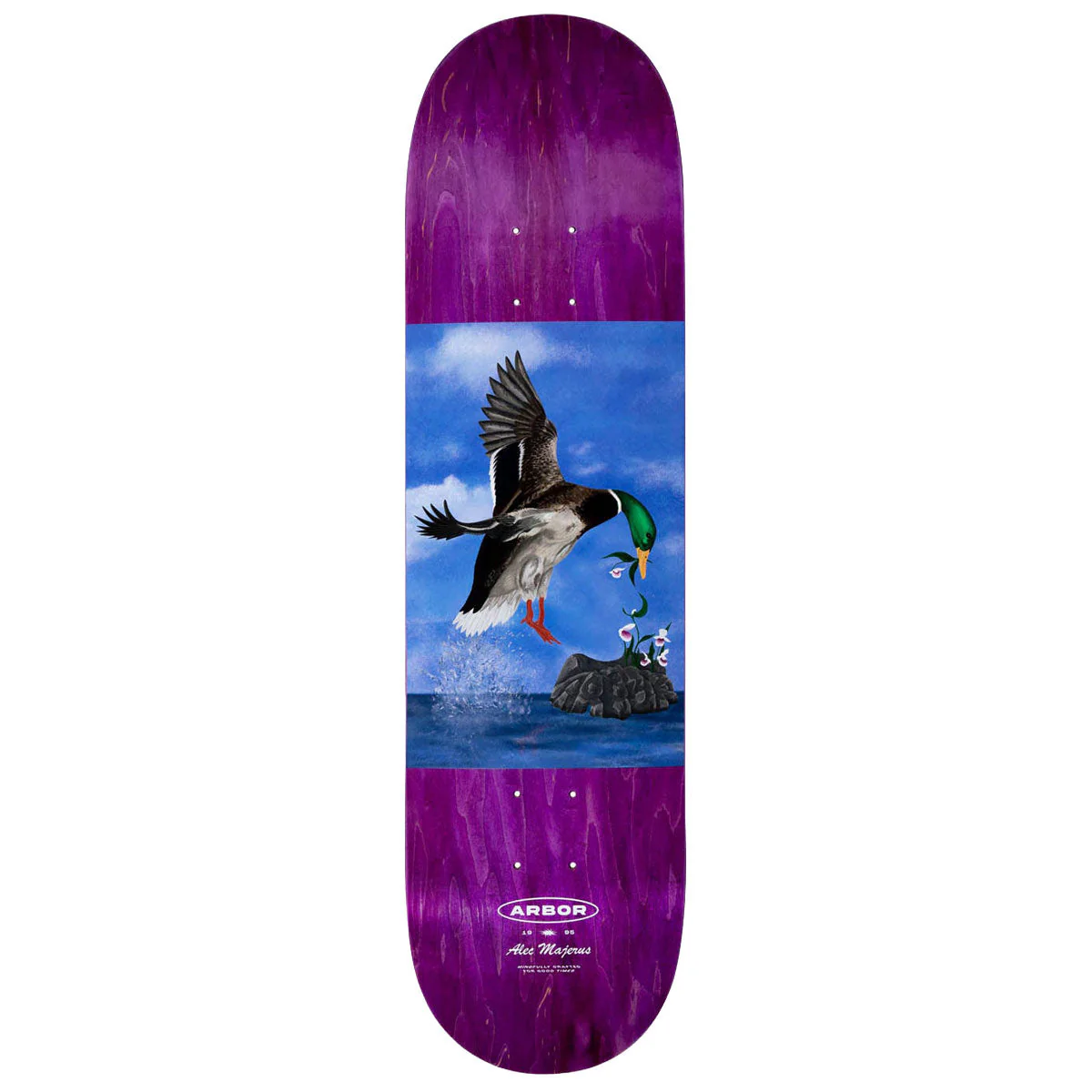 Arbor Alec Majerus Origins Skateboard Deck - 8.38"