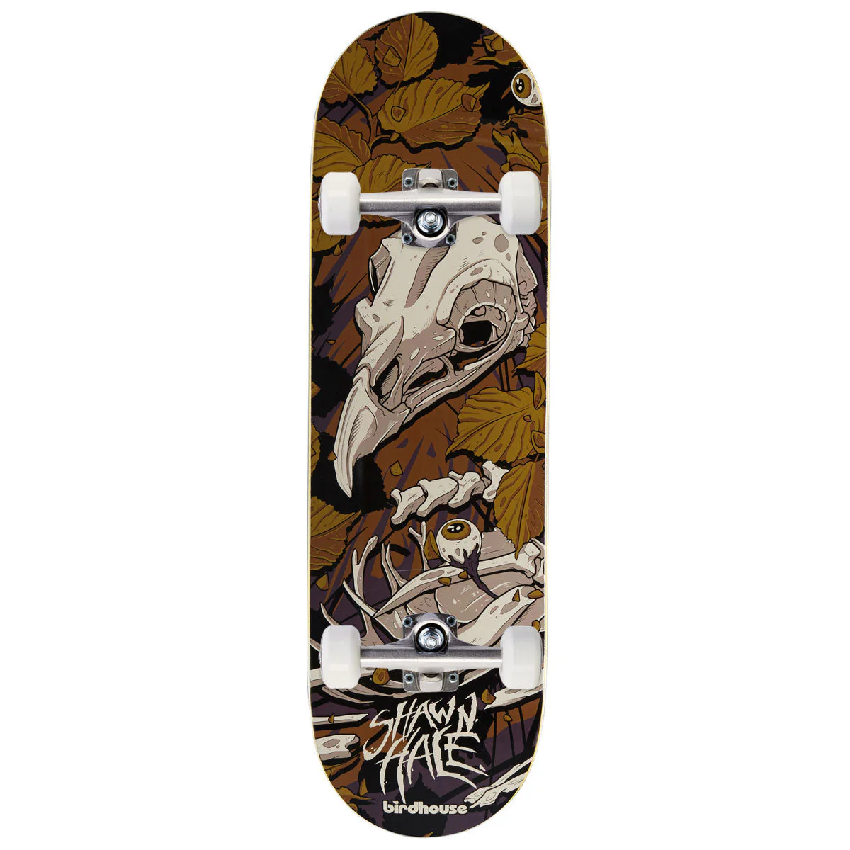 Birdhouse Shawn Hale Tillbrook Skateboard Complete - 9.00"