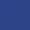 CCS Silver 96 Logo Web Belt - Royal Blue - Image 3
