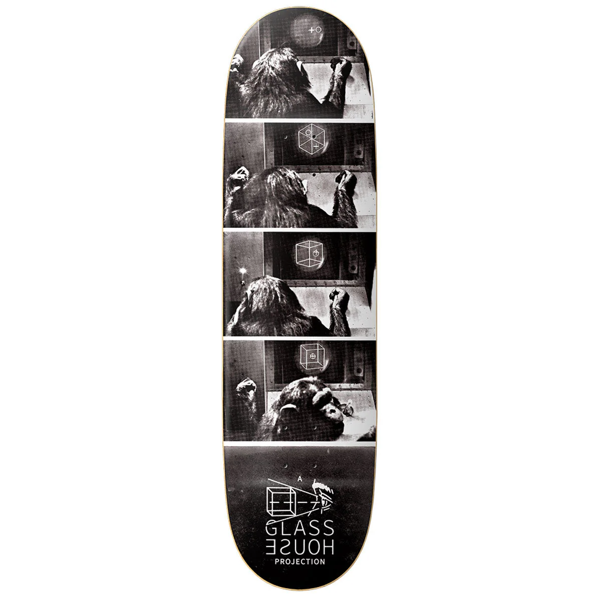 Glass House Hominid Skateboard Deck - 8.25"