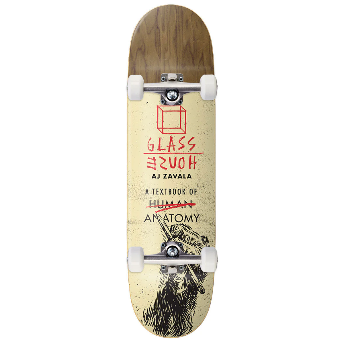 Glass House Zavala Anatomy Skateboard Complete - Assorted Veneers - 8.25"