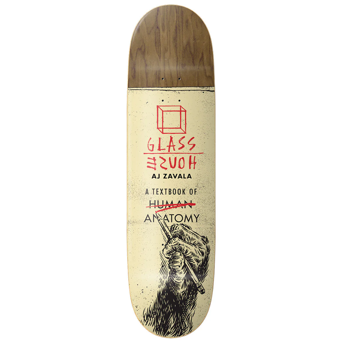 Glass House Zavala Anatomy Skateboard Deck - Assorted Veneers - 8.25"