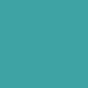 Meow Big Cat Skateboard Complete - Teal - 8.25" - Image 3