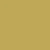 Santa Cruz Winkowski Primeval Gold Pro Shaped Skateboard Complete - 10.34" - Image 5
