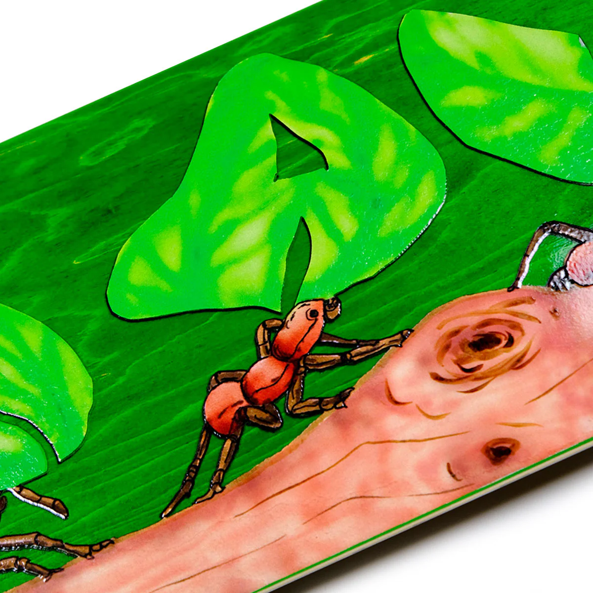 Snack Leafcutter Skateboard Deck - 8.50" - Image 4